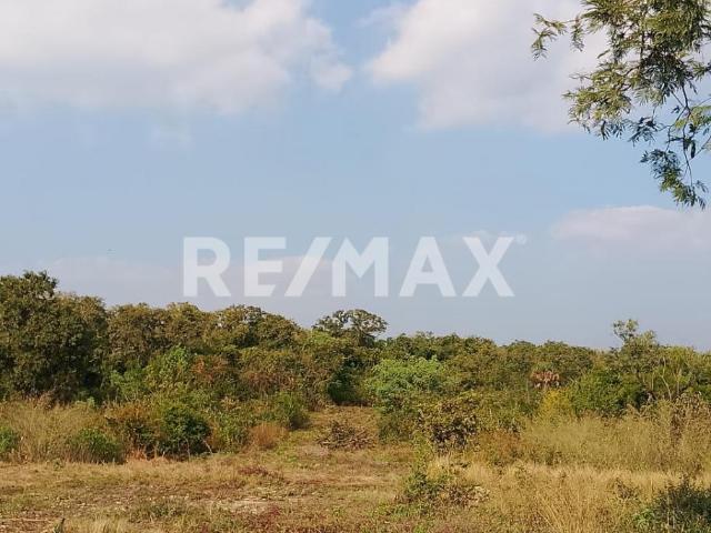 Terreno en venta en Ciudad Valles, San Luis Potosí