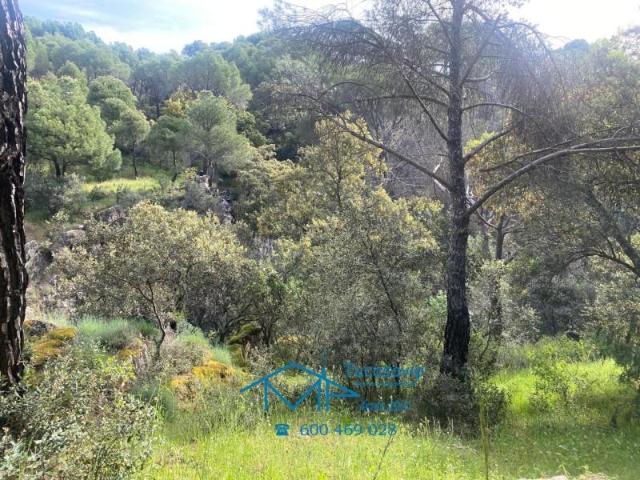 Terreno en venta en Urbanización Calas de Guisando, Cebreros