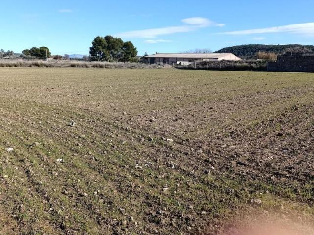 Terreno en venta en Campillo y Suertes, Noroeste
