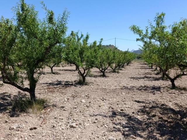 Terreno en venta en Puente Tocinos, Área Metropolitana de Murcia