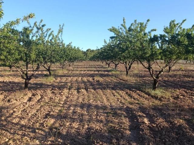 Terreno en venta en Noroeste, Murcia