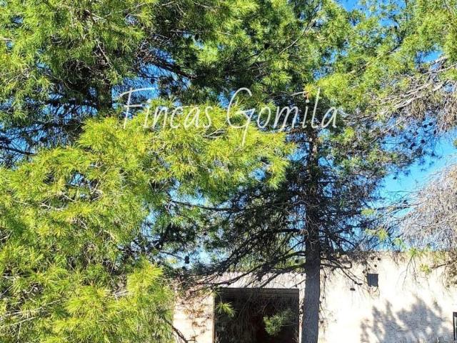 Terreno en venta en Garrigues, Catalunya