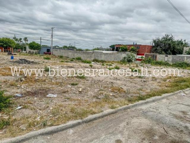Terreno en Venta Col el Cenizo