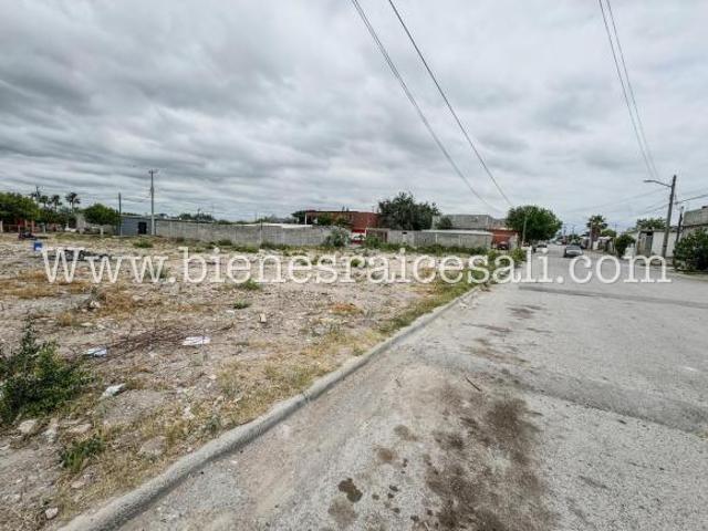 Terreno en Venta Col el Cenizo