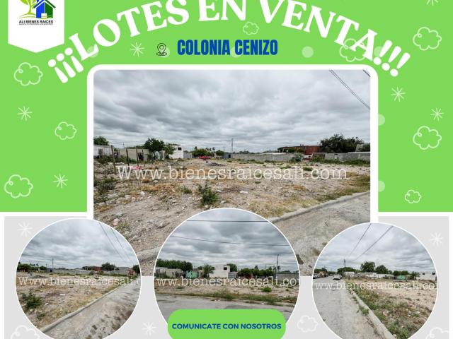 Terreno en venta en Piedras Negras