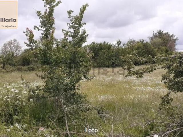Terreno en venta en Santo Tomé Del Puerto, Ochavo de la Sierra y Castillejo
