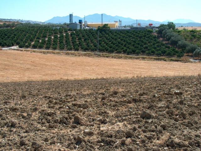 Terreno en venta en Alhaurín El Grande, El Parral