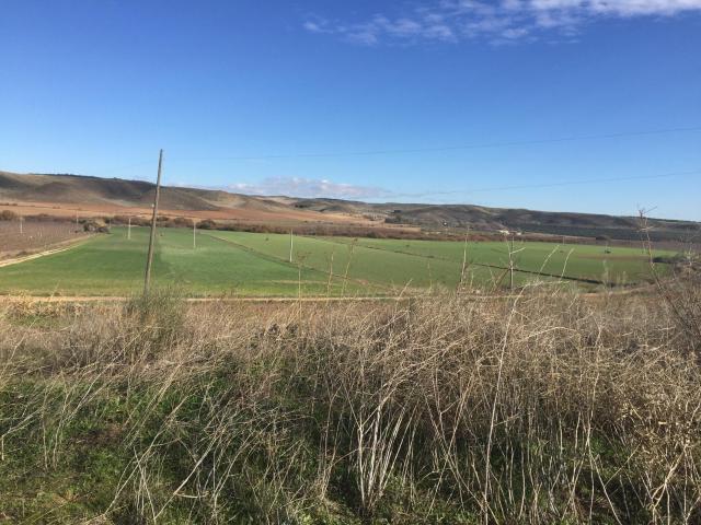 Terreno en venta en Almonacid De Toledo