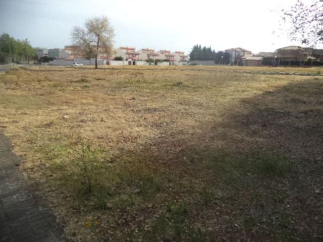 Terreno en venta en Argamasilla De Calatrava, Residencial los Encinares