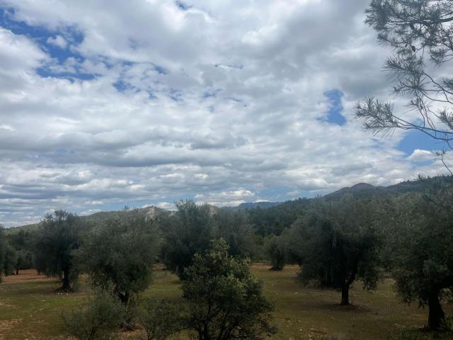 Terreno en venta en Cretas