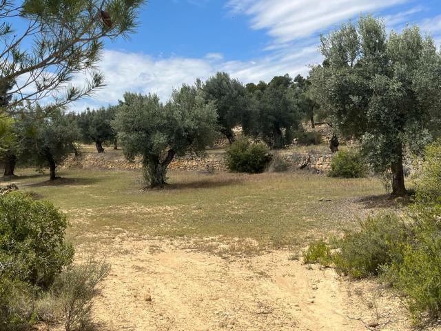 Terreno en venta en Cretas