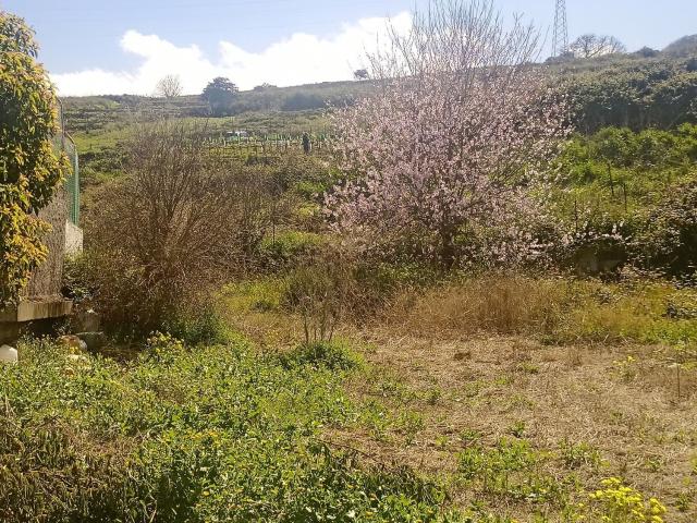 Terreno en venta en Tenerife, Lomo Piedra