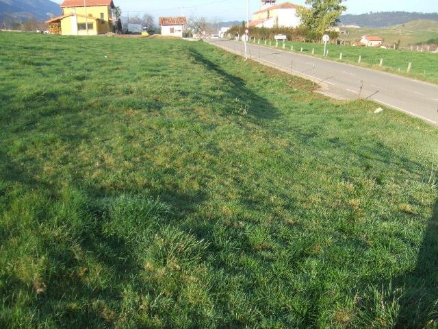 Terreno en venta en Ribadedeva, Colosía