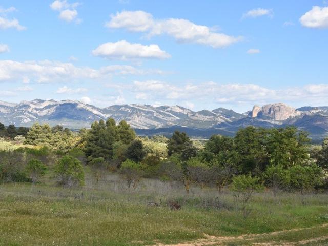 Terreno en venta en Cretas