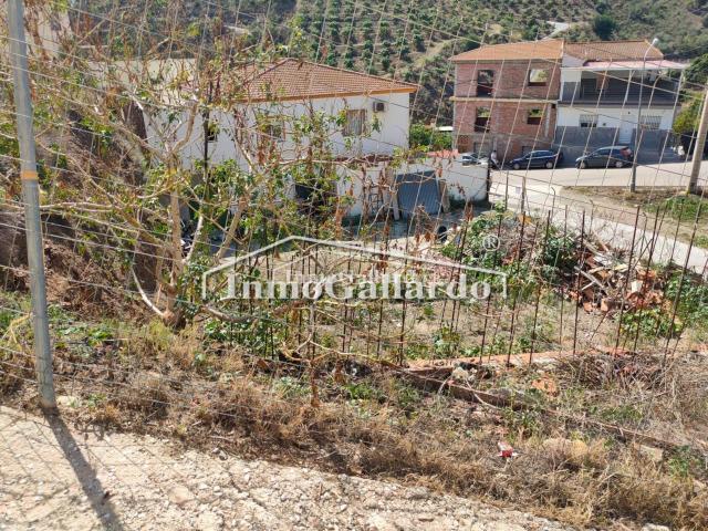 Terreno en venta en Benamocarra