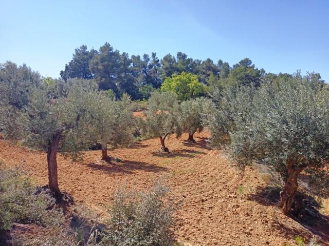 Terreno en venta en Cretas