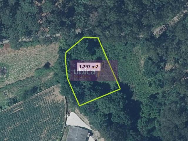 Terreno en venta en Salceda De Caselas, O Torreiro