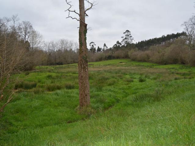 Terreno en venta en Ribadedeva, La Franca