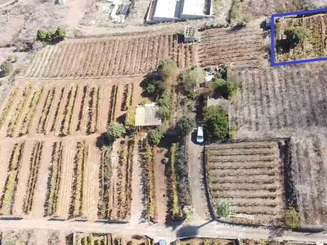 Terreno en venta en Tenerife, Lomo Piedra