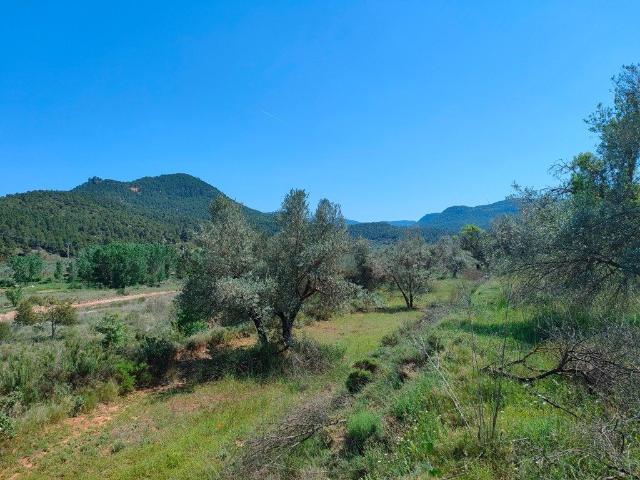 Terreno en venta en Fuentespalda