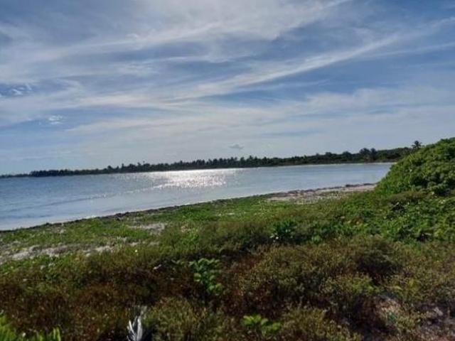 ESPECTACULAR TERRENO EN VENTA CON 200 METROS LINEALES FRENTE AL MAR CARIBE