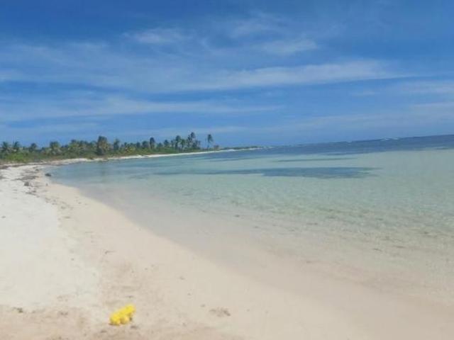 ESPECTACULAR TERRENO EN VENTA CON 200 METROS LINEALES FRENTE AL MAR CARIBE