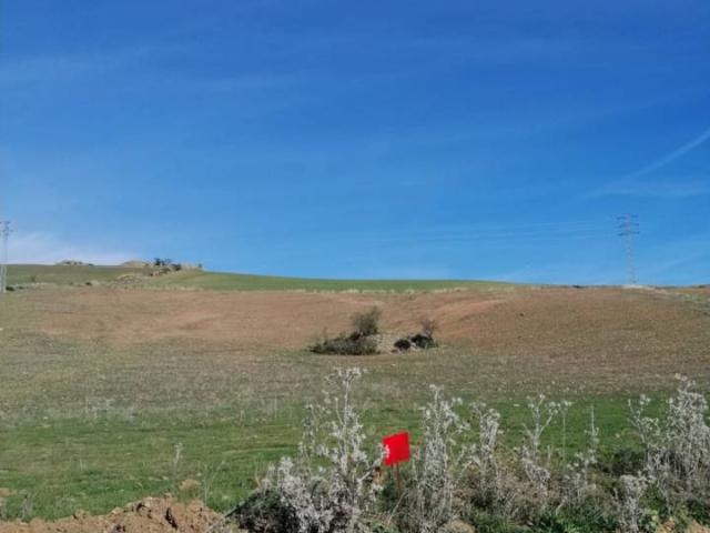 Terreno en venta en Ardales