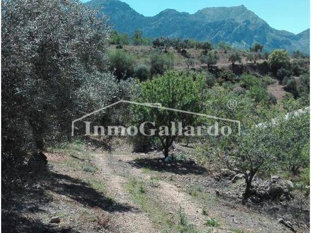Terreno en venta en Casarabonela