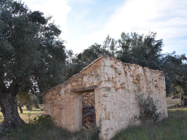 Terreno en venta en Arnes