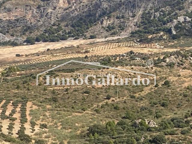 Terreno en venta en Casarabonela