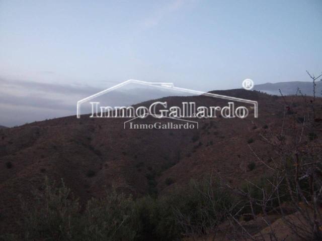 Terreno en venta en Sedella Terreno en venta en Sedella