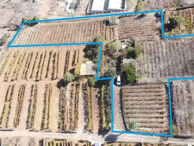 Terreno en venta en Tenerife, Ravelo Alto