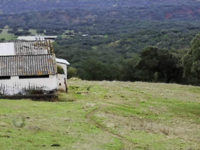 Terreno en venta en Jerez De Los Caballeros, Los Naranjos
