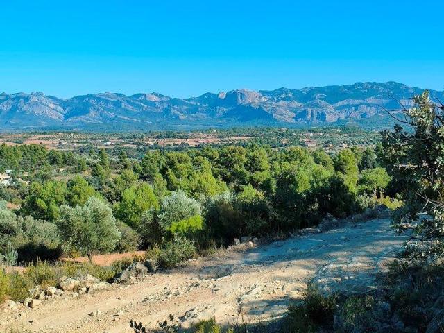 Terreno en venta en Cretas