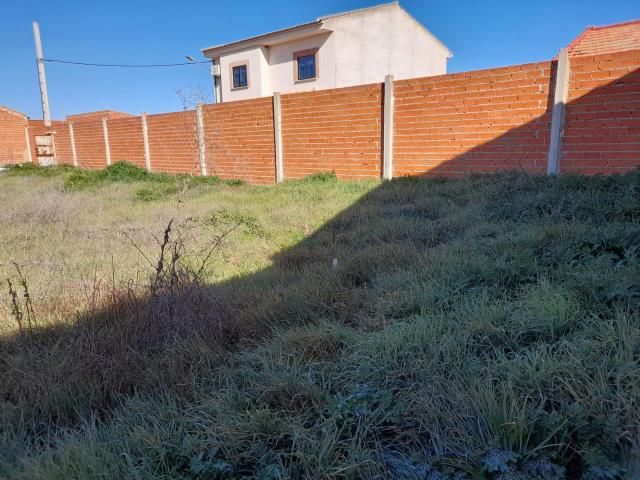 Terreno en venta en Argamasilla De Calatrava
