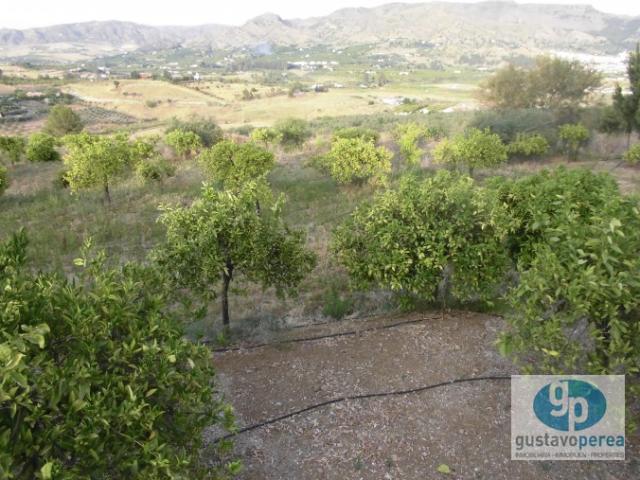 Terreno en venta en Pizarra