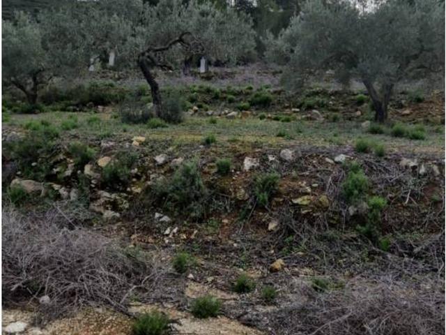 Terreno en venta en Gata De Gorgos