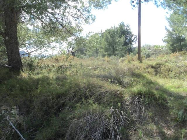 Terreno en venta en Benissa