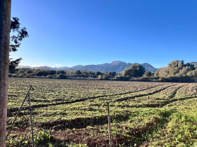 Terreno en venta en Campanet