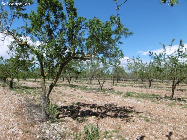 Local Comercial en venta en la Plana Alta, Valencia