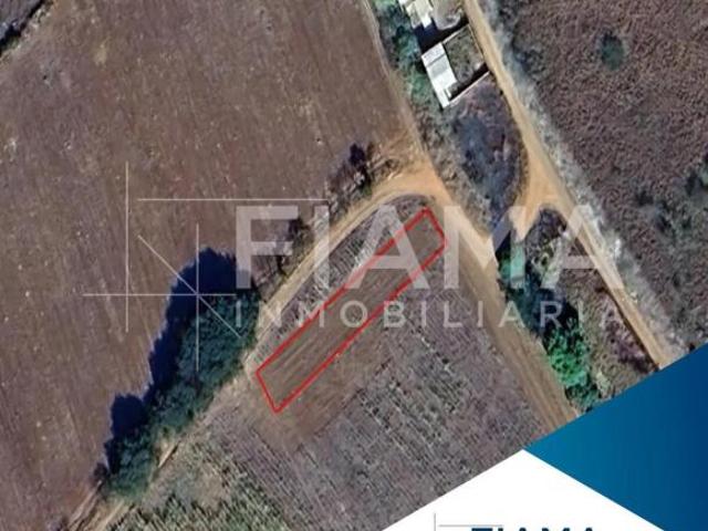 Terreno en venta en Ruíz, Nayarit