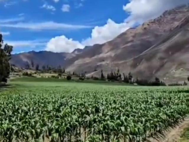 Terreno venta en Ollantaytambo