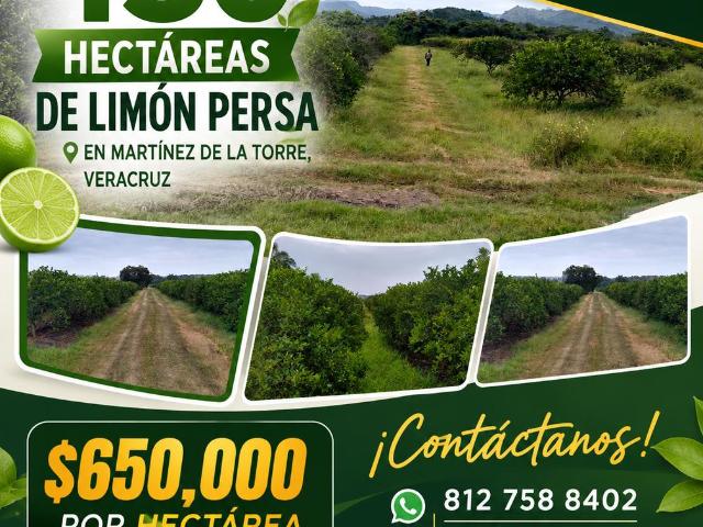 Terreno en venta en Martínez De La Torre, Veracruz