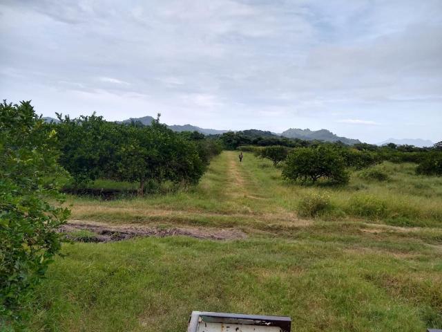 Terreno en venta en Martínez De La Torre, Veracruz