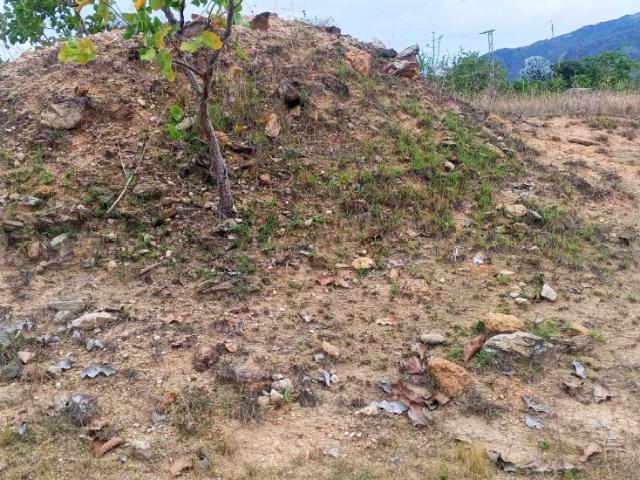 Terreno en venta en La Cumaca, Carabobo