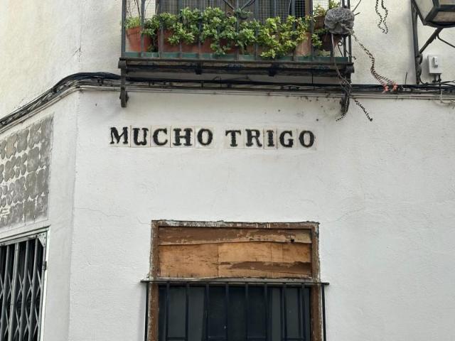 Terreno en venta en Distrito Centro, Córdoba