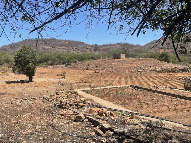 Finca en venta en Ines, Sucre