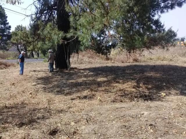 Terreno en venta en San Pedro Quiatoni, Oaxaca