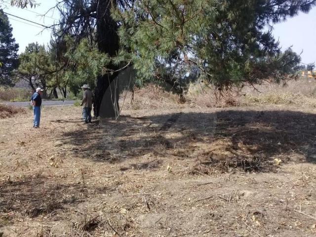 Terreno en venta en San Pedro Quiatoni, Oaxaca