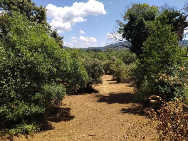 Terreno en venta en El Bierzo, Castilla y León
